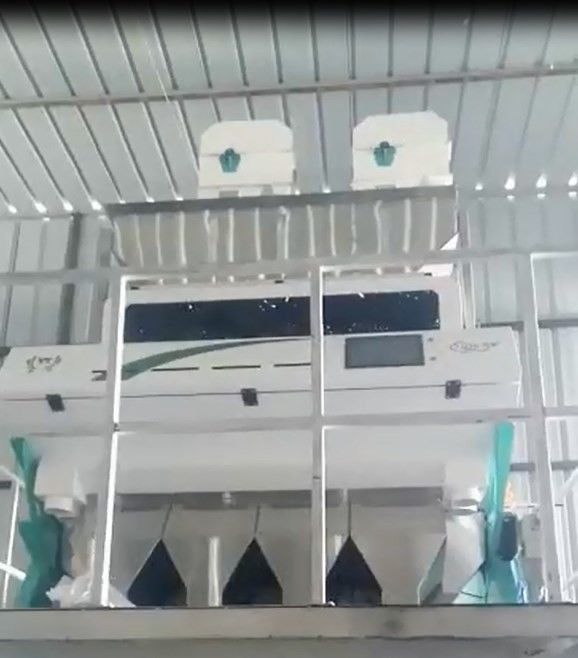 Máquina do classificador da cor de WENYAO Peeled Peanuts Nuts Rice com diodo emissor de luz do CCD automaticamente