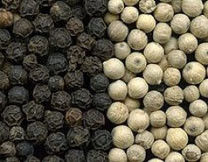 Máquina de triagem de cores de pimenta verde fresca, branca, preta, caju 320 canais