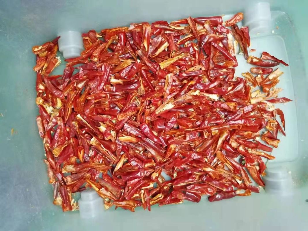 2 rampas 128 canalizam o CE de Chili Sorting Machine aprovado para a pimenta