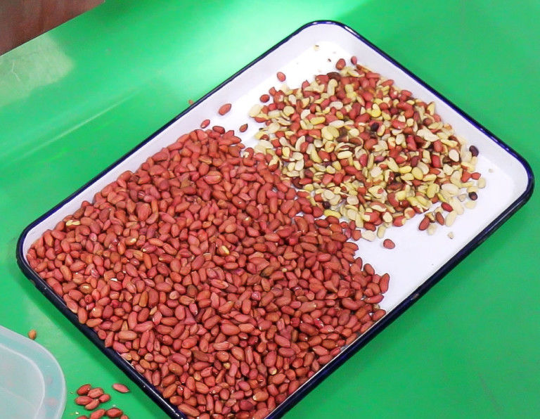 Maquinaria do classificador da cor do amendoim da precisão alta de 5 rampas para classificar amendoins descascados