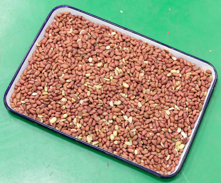 Maquinaria do classificador da cor do amendoim da precisão alta de 5 rampas para classificar amendoins descascados