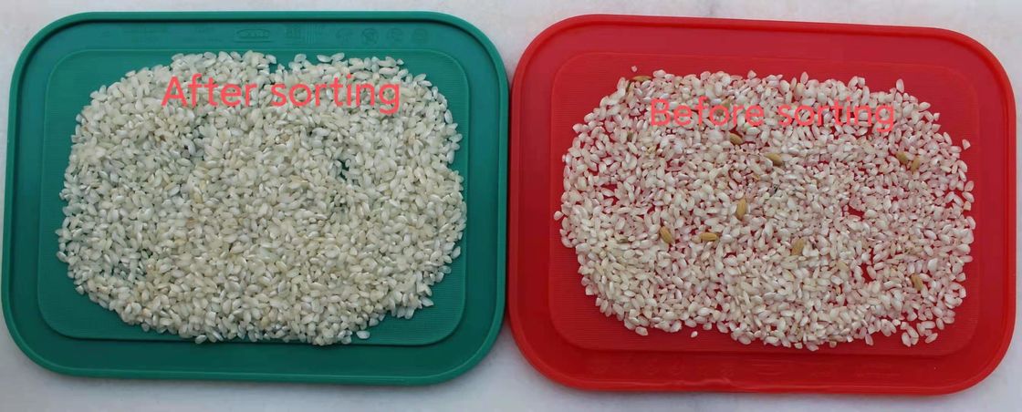 Classificador glutinoso da cor do arroz, equipamento de processamento do arroz do RGB de 99,99 precisões