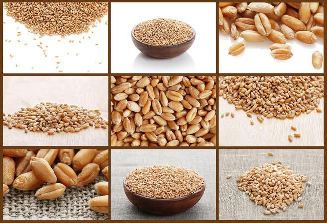 Rim Multifunction Bean Pistachio Nut Color Sorter do preto da máquina do classificador do núcleo do amendoim das sementes de girassol