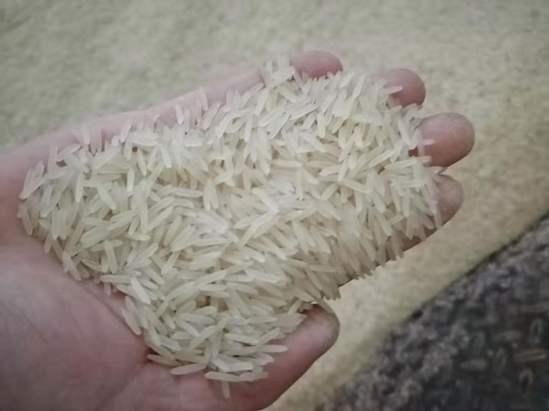 WENYAO Agriculture Rice Color Sorter, máquina multifuncional do classificador da cor da grão