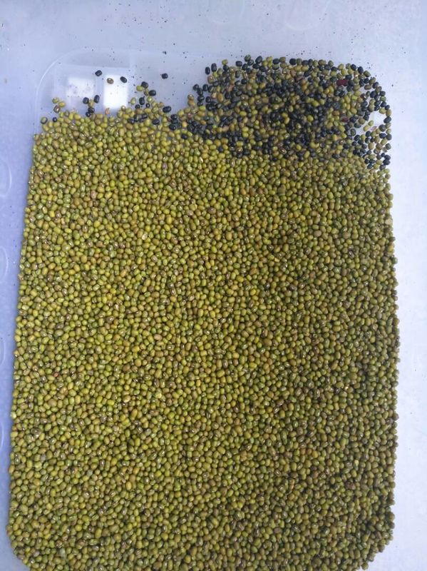 Máquina verde inteligente do classificador da cor de Bean Colour Machine Beans Ccd
