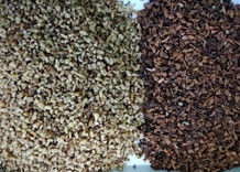 2 rampas 128 canalizam o classificador da cor das porcas, WENYAO Walnut Color Sorter