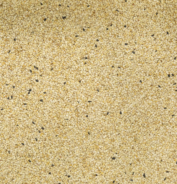 2t/h Wenyao Color Sorter, classificador de classificação alto da cor do sésamo da precisão