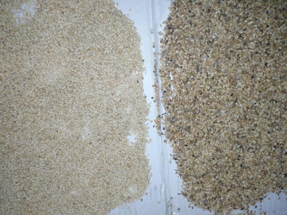 Classificador da cor de Wenyao High Capacity Sesame Seeds que classifica a máquina do separador