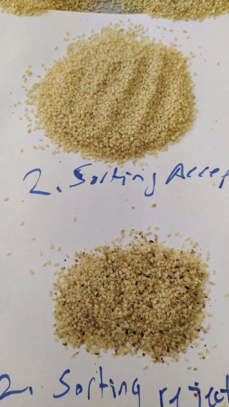 Classificador da cor de Wenyao High Capacity Sesame Seeds que classifica a máquina do separador
