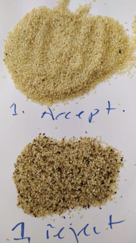 Classificador da cor de Wenyao High Capacity Sesame Seeds que classifica a máquina do separador