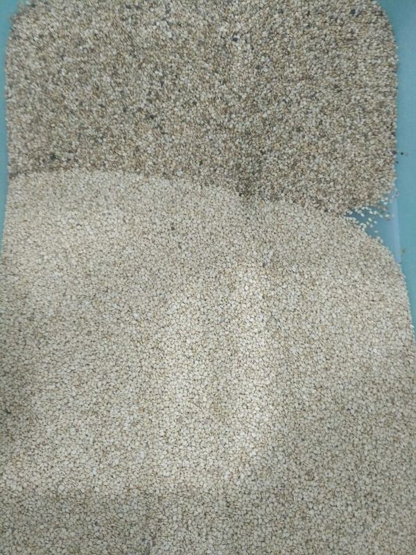 Classificador da cor de Wenyao High Capacity Sesame Seeds que classifica a máquina do separador