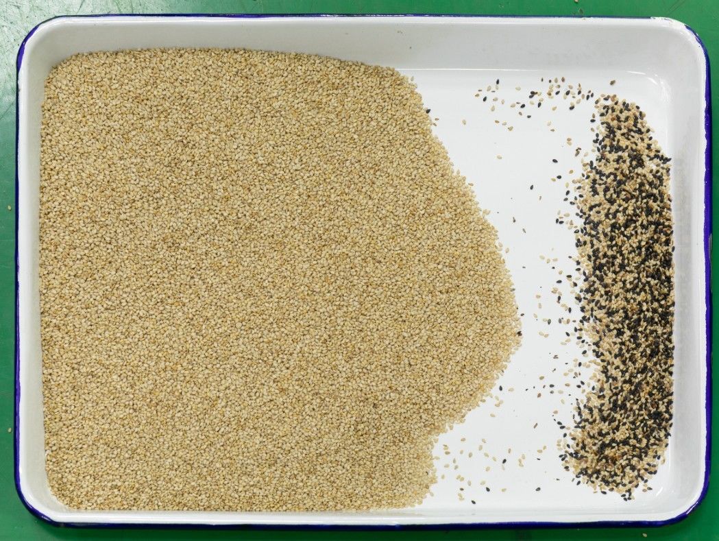 WENYAO Multi Grain Sorter Machine, classificador ótico da cor do sésamo