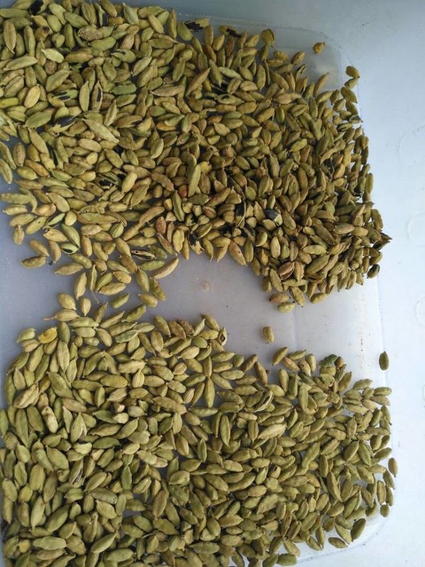 Linha de processamento do cardamomo do classificador da cor dos feijões da máquina de classificação da cor do cardamomo