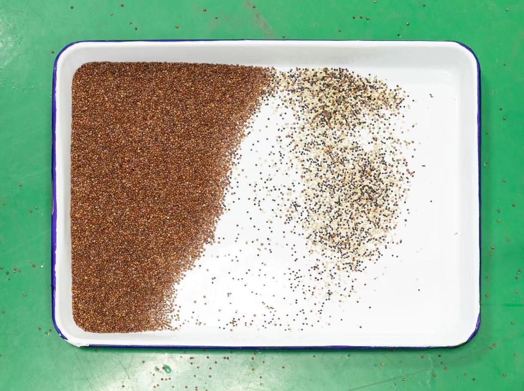 Máquinas do classificador da cor do Quinoa 128 canais 2 anos de garantia