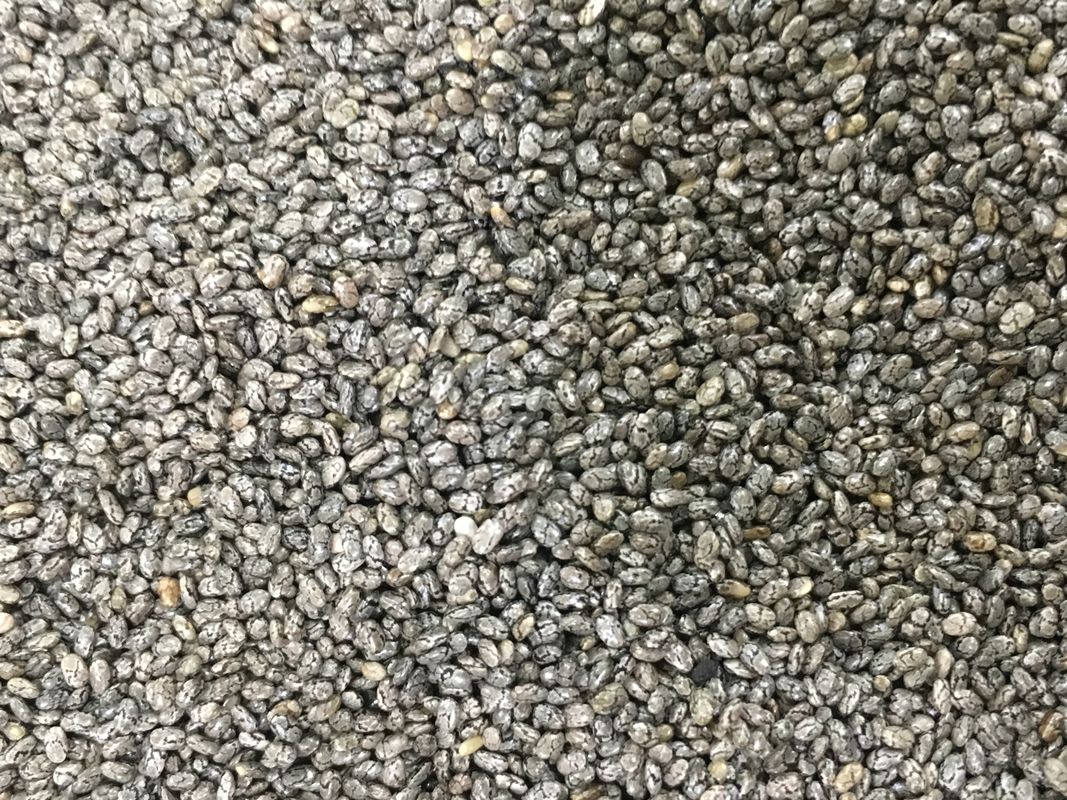 Câmera de Chia Seed Color Sorter With RGB de 512 rampas dos canais 8