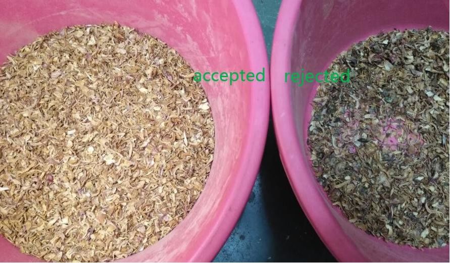 5400 milhão de alta capacidade vegetais da máquina de classificação dos pixéis para a cebola secada
