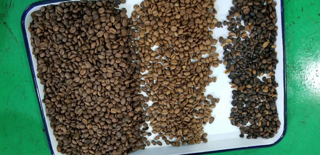 Classificador da cor dos feijões de café da câmera do CCD dos pixéis do de alta capacidade 5400 que classifica a máquina do separador