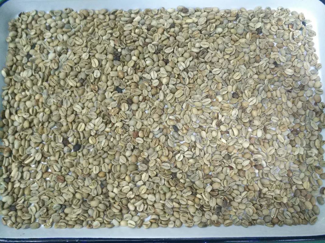 Classificador da cor dos feijões de café da câmera do CCD dos pixéis do de alta capacidade 5400 que classifica a máquina do separador