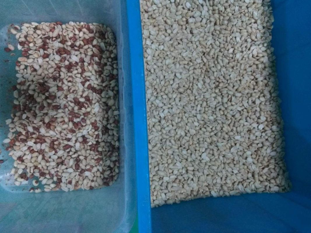 As porcas da tecnologia a mais nova colorem a máquina da separação de cor do amendoim do classificador com melhor serviço