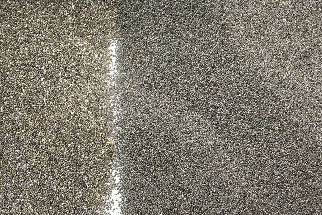 220V 50HZ Chia Seed Color Sorter, máquina inteligente do separador da semente