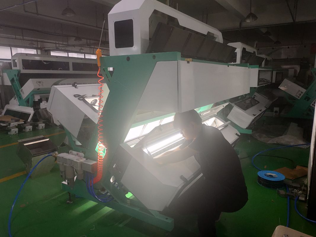 5 rampas florescem a máquina do classificador da cor do chá, varas amarelas colorem máquinas da separação