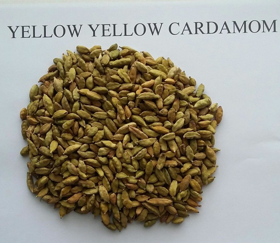 8 rampas Wenyao Color Sorter, certificado da máquina de classificação ISO9001 do cardamomo
