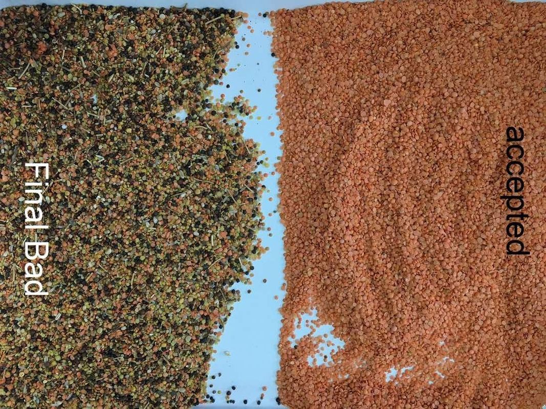 Lentilha preta Dal Color Sorter 8 rampas 512 canais com luz variável do diodo emissor de luz