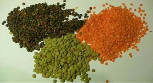 Lentilha preta Dal Color Sorter 8 rampas 512 canais com luz variável do diodo emissor de luz