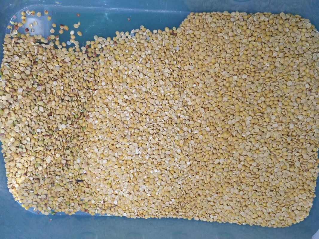 Lentilha preta Dal Color Sorter 8 rampas 512 canais com luz variável do diodo emissor de luz