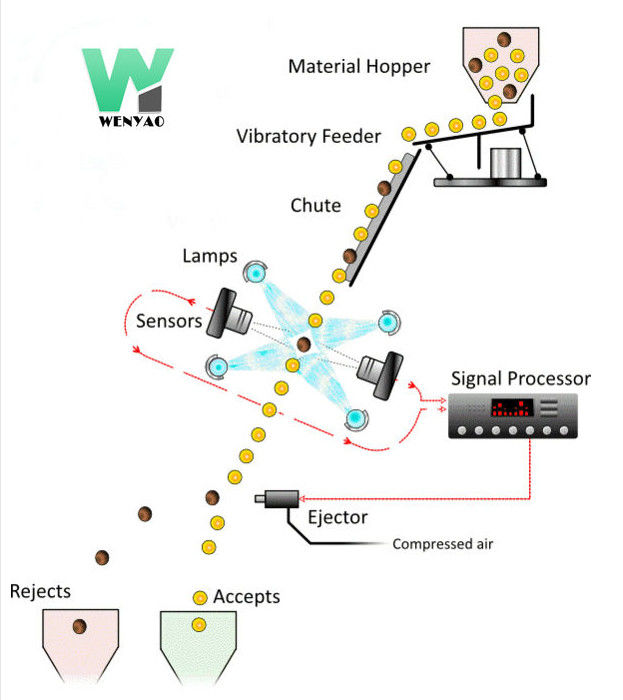 Classificador inteligente da cor da noz-pecã com RGB de alta velocidade Nir Cameras