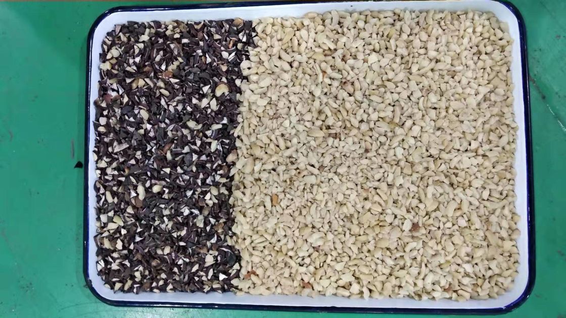 Classificador da cor das porcas da vela de filtro de Japão CKD para separar a cor branca e preta