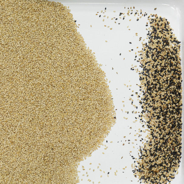 Classificador automático da cor do CCD para a colza Chia Seed do sésamo