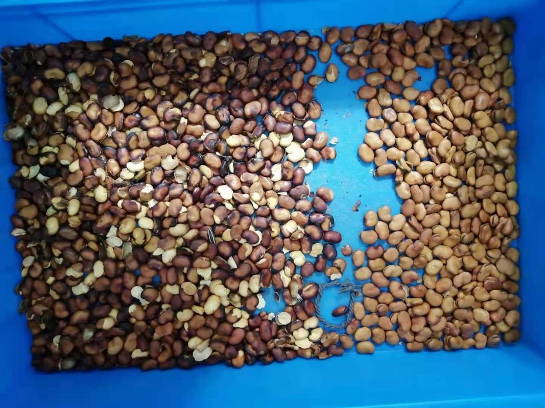 Câmera monocromática da definição larga de Bean Color Separator With High