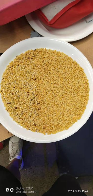 Tipo máquina da rampa do classificador da grão das lentilhas vermelhas com o tela táctil de 12 polegadas