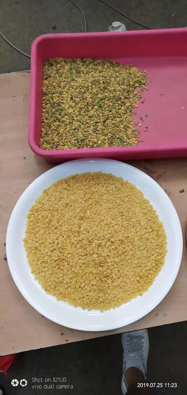 Tipo máquina da rampa do classificador da grão das lentilhas vermelhas com o tela táctil de 12 polegadas