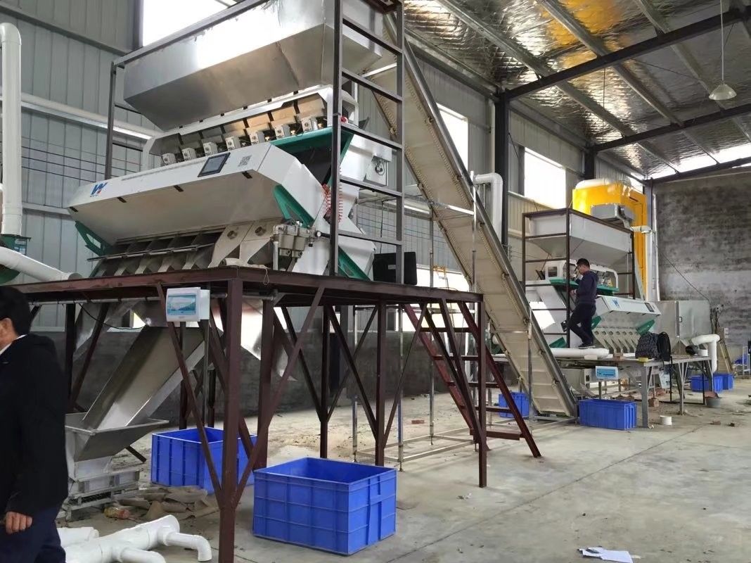 Controlo a distância de Wifi do classificador da cor do Ccd de Wenyao AI para o feijão de cacau do sorgo da aveia do milho