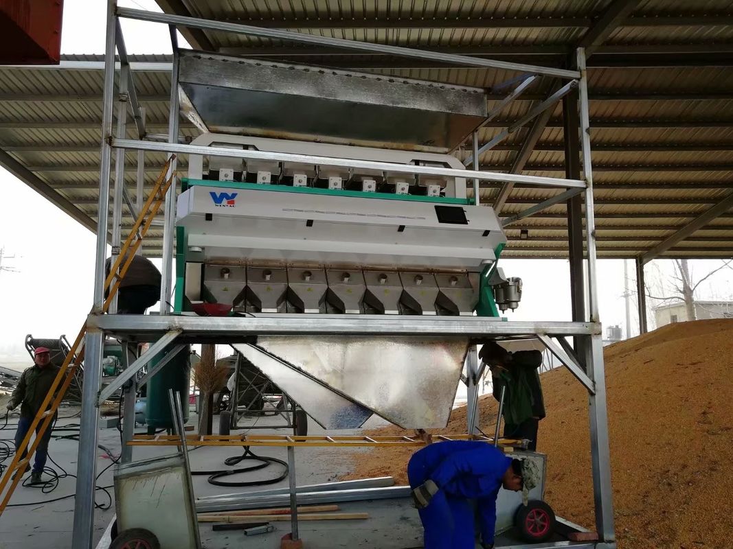 As porcas habilitados do CE colorem a máquina do classificador para a noz do pistache do pinhão