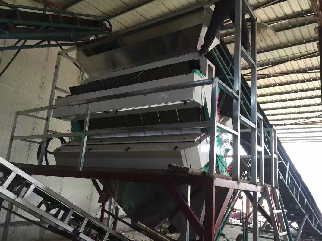As porcas habilitados do CE colorem a máquina do classificador para a noz do pistache do pinhão