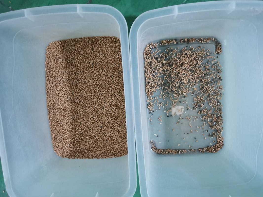 O trigo que a classificação ótica faz à máquina 7 rampas 448 canaliza a máquina do classificador da cor do trigo