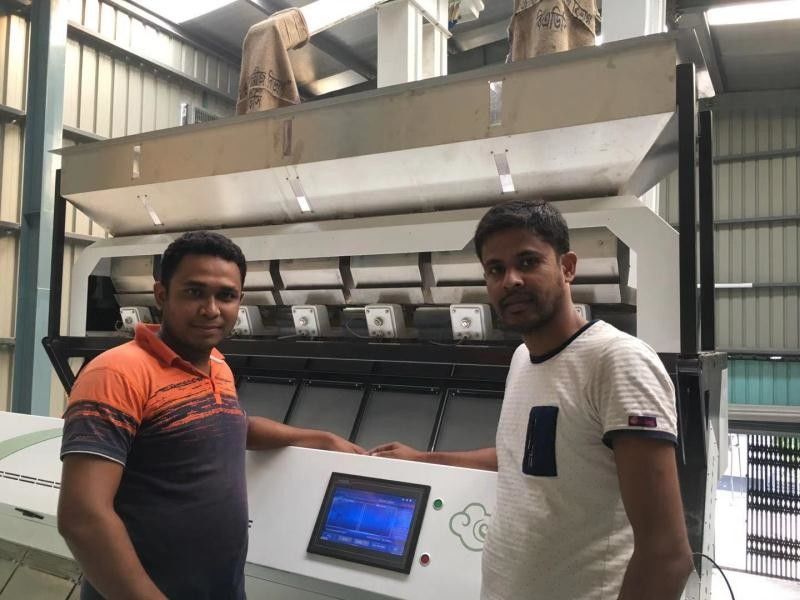 Máquina branca do classificador da cor do sésamo do sensor do CCD de Toshiba para pontos pretos