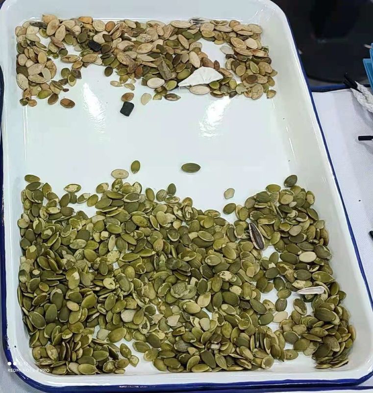 Wenyao alta capacidade 1000kg CCD máquina de triagem de cor de sementes de coentro semente de salsa