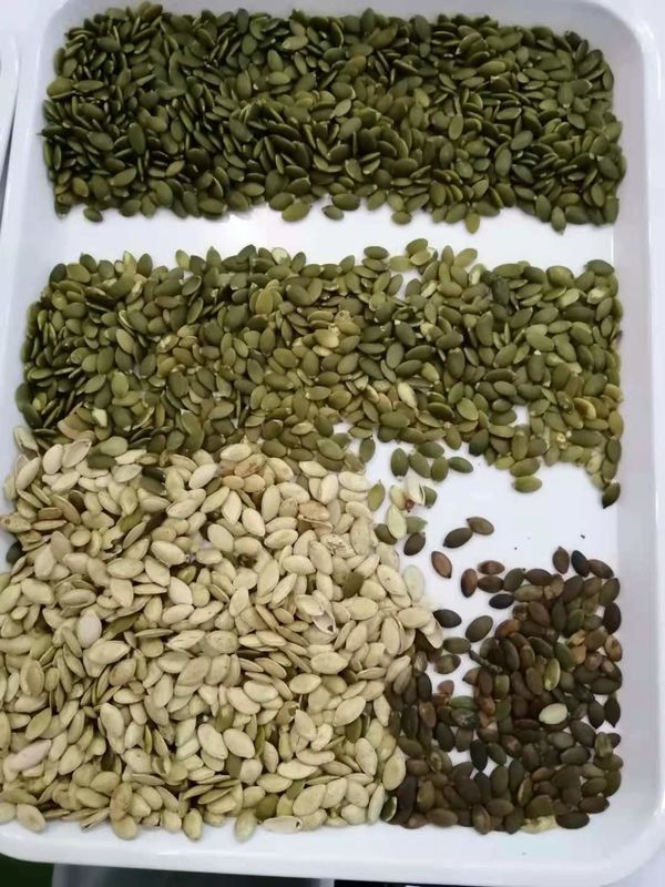 Wenyao alta capacidade 1000kg CCD máquina de triagem de cor de sementes de coentro semente de salsa