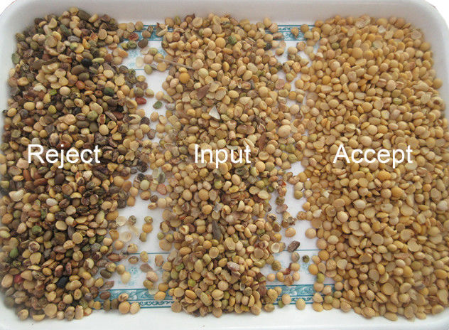 CCD automático RGB Bean Color Sorter