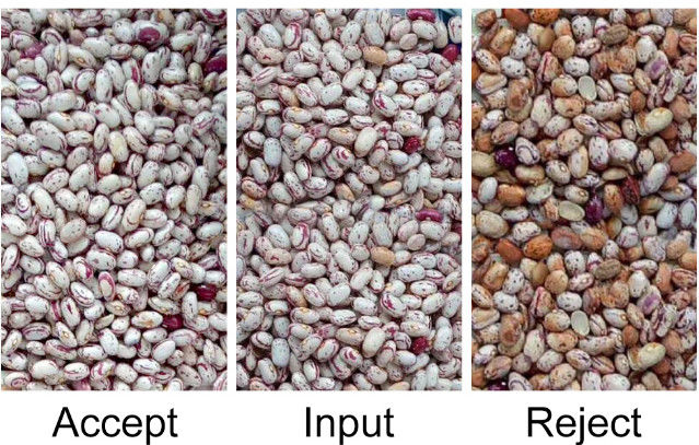 CCD automático RGB Bean Color Sorter