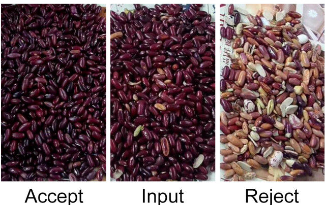 CCD automático RGB Bean Color Sorter