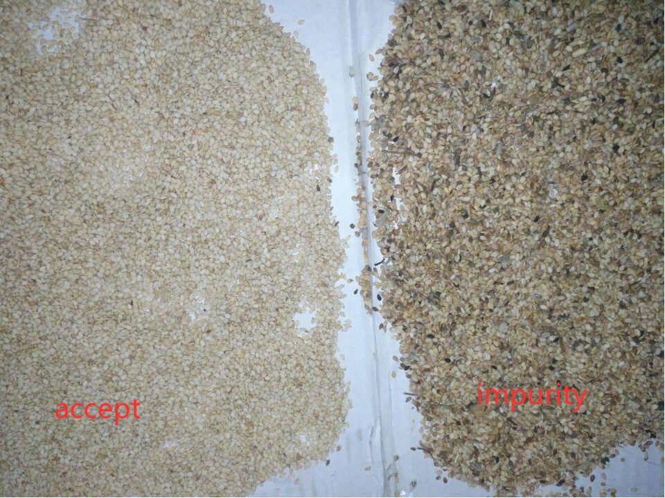 Precisão alta 5000kg/H do classificador da cor da semente de sésamo de 5 rampas