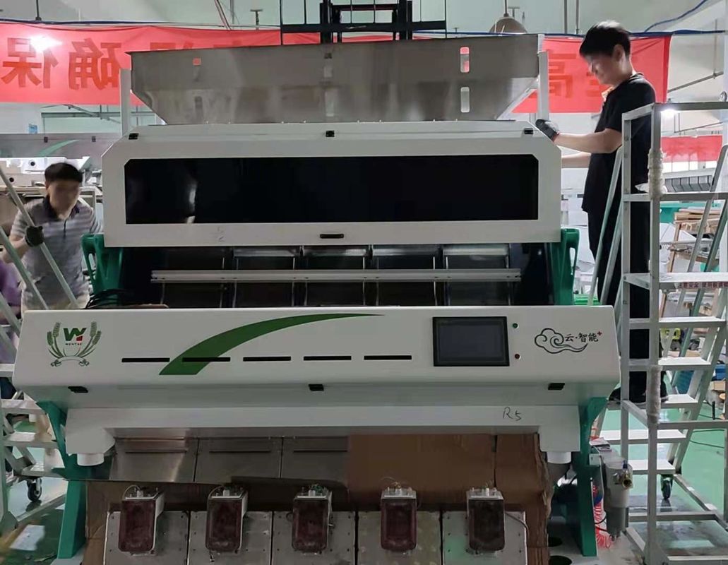Taxa de transferência ótica da máquina de classificação 5000kg/H da cor da câmera do Rgb das lentilhas do feijão de soja de Dall