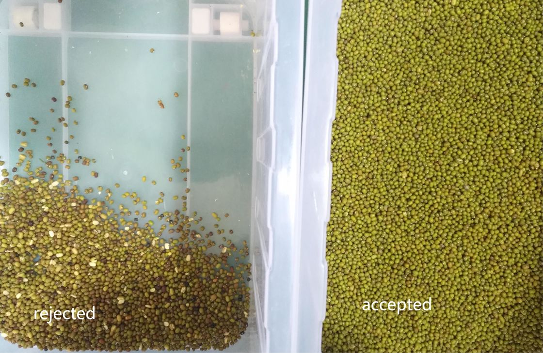 Máquina multifuncional de triagem de cereais CCD Farinha Mung Farinha Vermelha Farinha Optical Color Sorter para agricultura e processamento de alimentos