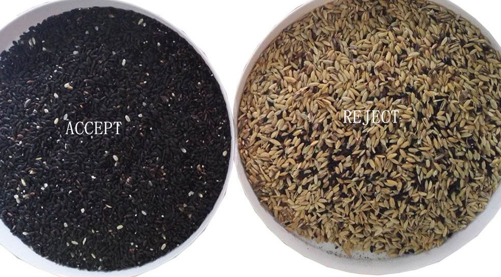 Máquina ótica do classificador da cor do arroz das rampas da câmera 12 do RGB para o moinho de arroz