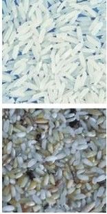 Máquina ótica do classificador da cor do arroz das rampas da câmera 12 do RGB para o moinho de arroz